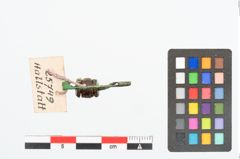 Foto von Bronzebogenfibel (NHMW-PRAE-025749)